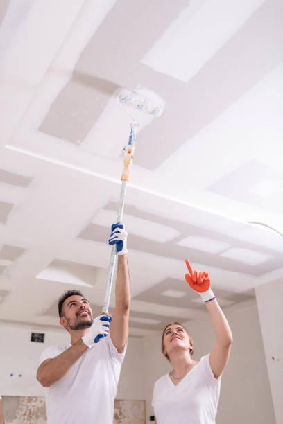 Best Real Estate Mold Inspection  in Thorndale, PA