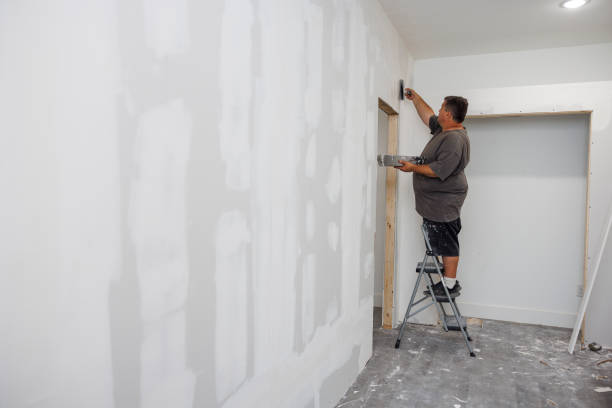 Mold Odor Removal Services in Thorndale, PA