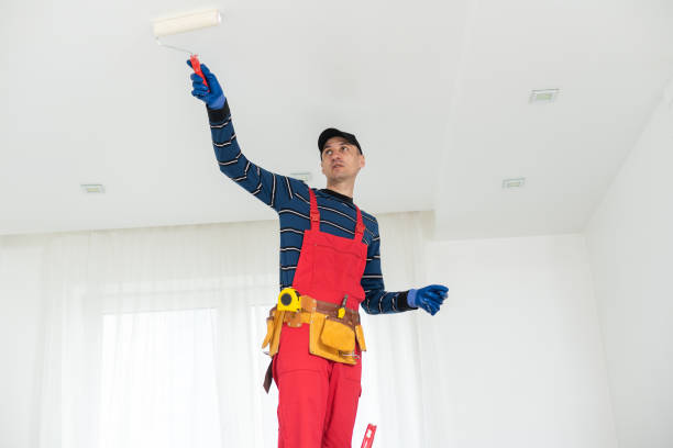 Best Mold Documentation for Insurance Claims  in Thorndale, PA
