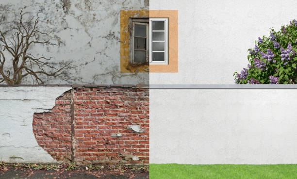  Thorndale, PA Mold Removal Pros