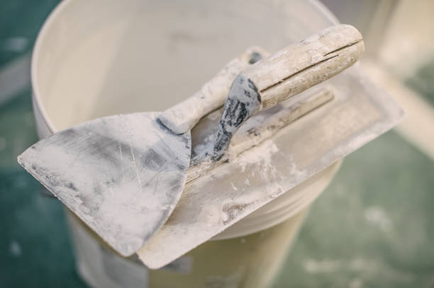 Best Airborne Mold Testing  in Thorndale, PA